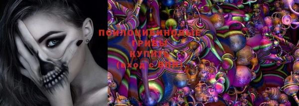 PSILOCYBIN Киреевск