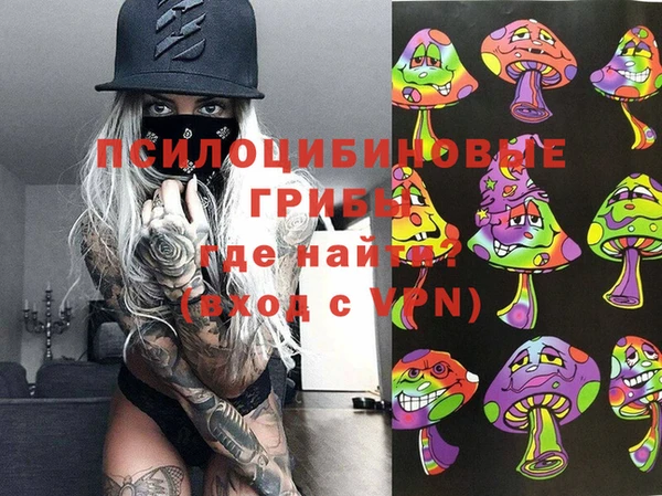 PSILOCYBIN Киреевск